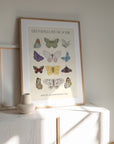 butterflies art print beige botanical