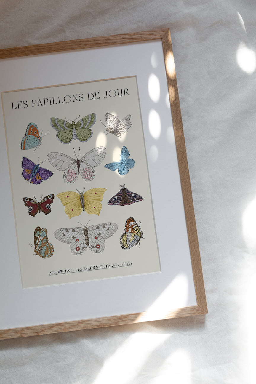 butterflies printable wall art botanical