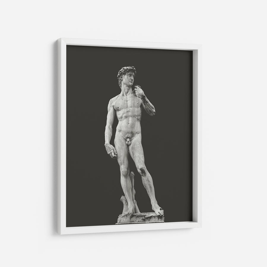 David - THE PRINTABLE CONCEPT - Printable art posterDigital Download - 